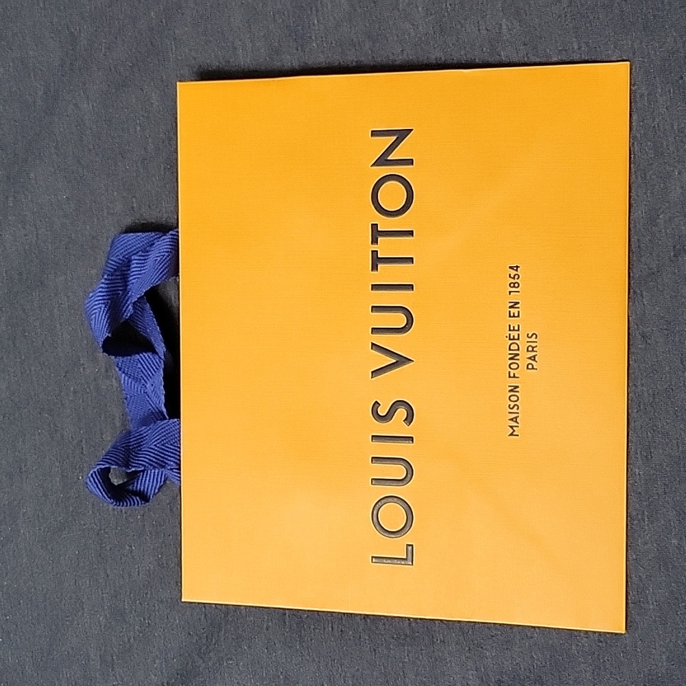 Small sized Louis Vuitton Bag